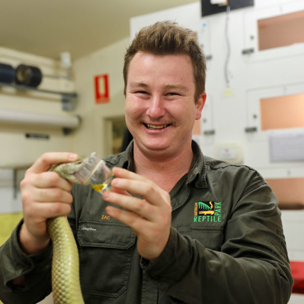 Australian Reptile Park Staff Australian Reptile Park