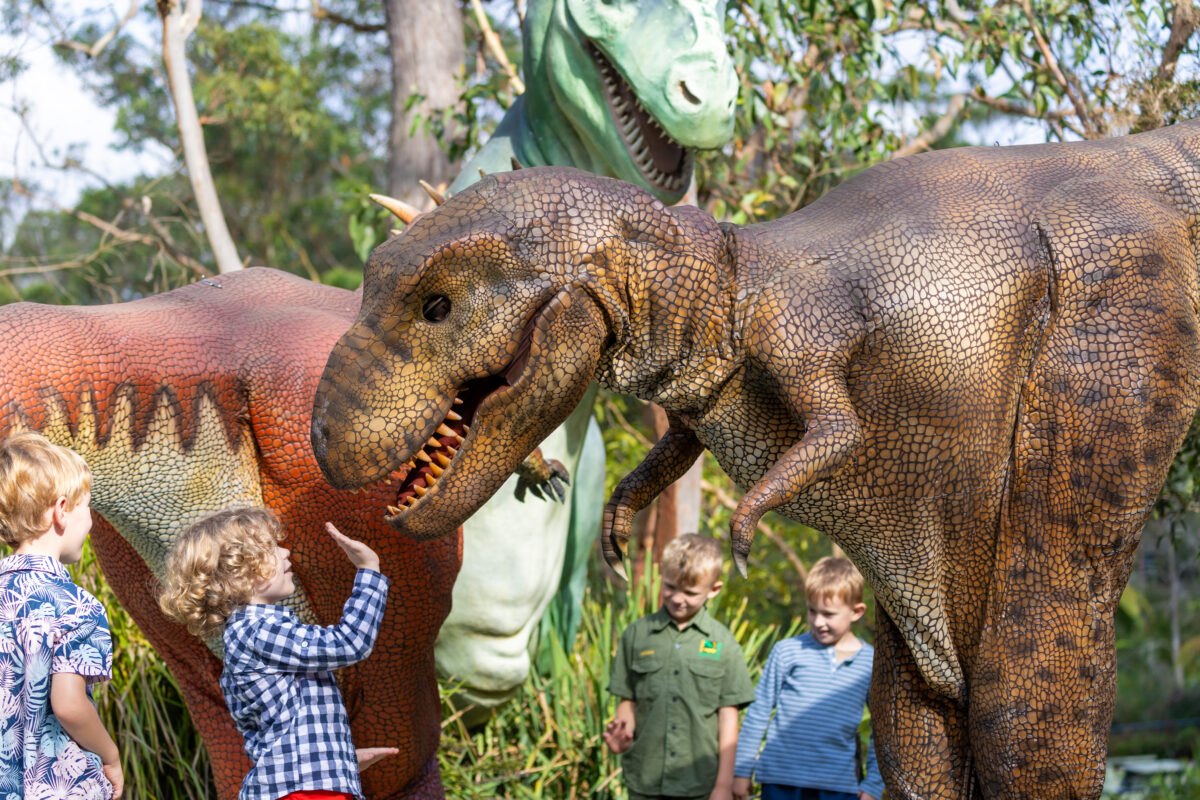 What's On At The Australian Reptile Park | Australian Reptile Park