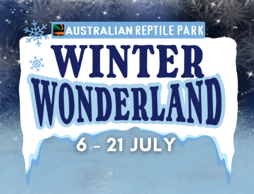 Winter Wonderland | July School Holidays 2024